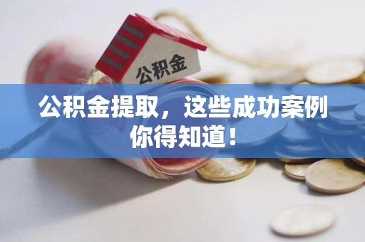 界首公积金提取，这些成功案例你得知道！