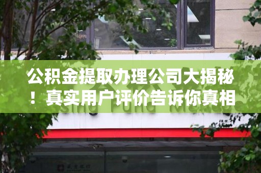 界首公积金提取办理公司大揭秘！真实用户评价告诉你真相